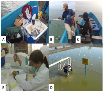 Gambar 2. Peralatan survei (A), pengukuran data  fisika di laut  (B dan C) dan di Tambak (D)