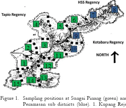 Figure 1. Sampling positions at Sungai Pinang (green) and  Peramasan sub districts (blue)