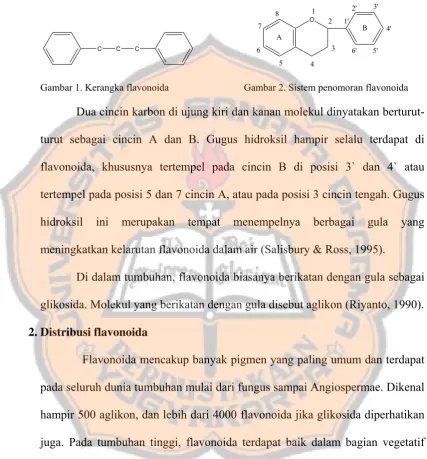 Gambar 1. Kerangka flavonoida                 