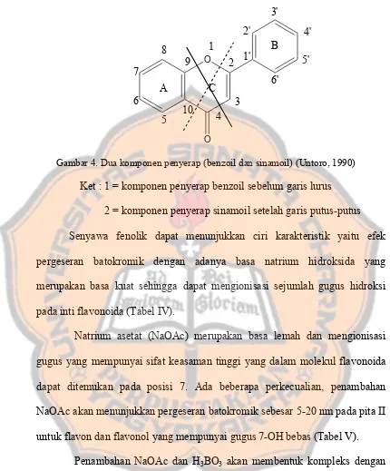 Gambar 4. Dua komponen penyerap (benzoil dan sinamoil) (Untoro, 1990) 