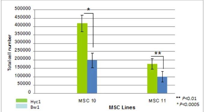 Figure 1. Low expansion of primary MSC using Bw1 contained medium. Proliferation of primary MSC lines
