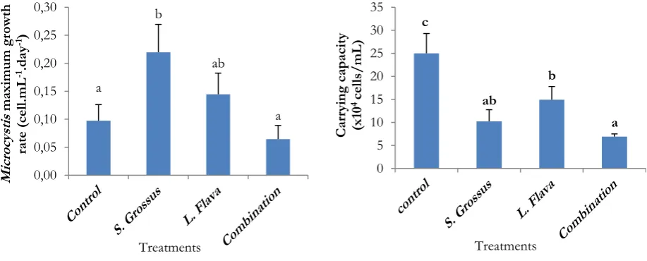 Figure 3. Growth pattern of Microcystis during observation.   