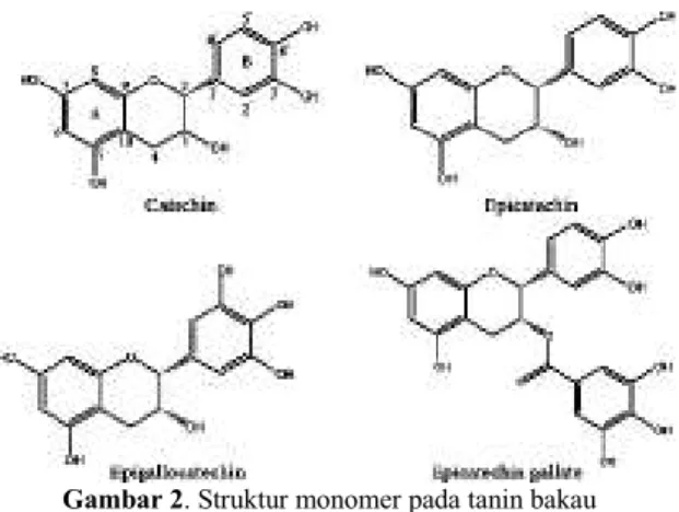 Gambar 1. Struktur molekul hydrolysable tannin