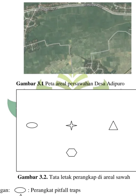 Gambar 3.1 Peta areal persawahan Desa Adipuro  