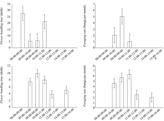 Gambar 4. Aktivitas harian dari flowering handling time dan foraging rate dari (a) Apis cerana dan (b) Tetragonula laeviceps pada  tanaman buncis