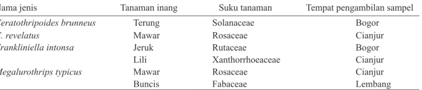 Tabel 2. Jenis trips yang berasosiasi dengan tanaman hortikultura di sentra produksi Jawa Barat