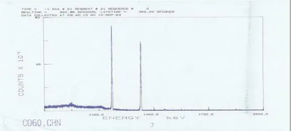 Gambar 1. Spektrum Kalibrasi Energi Standar Co-60 