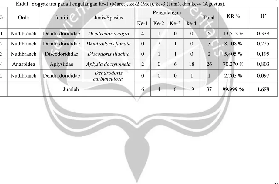Tabel 9. Hasil  Indeks Keanekaragaman dan Kelimpahan Relatif Jenis  Nudibranchia  yang ditemukan di Pantai Krakal, Gunung  Kidul, Yogyakarta pada Pengulangan ke-1 (Maret), ke-2 (Mei), ke-3 (Juni), dan ke-4 (Agustus)