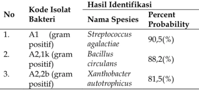Tabel 1. Tabel Spesies rhizobakteri  hasil isolasi dari  akar semanggi (Marsilea crenata)  yang terpapar logam  berat Pb 