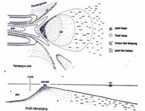 Gambar 1. Tipe Muara yang Didominasi oleh Aliran  Sungai, Seperti yang Terjadi Pada Muara Sungai 
