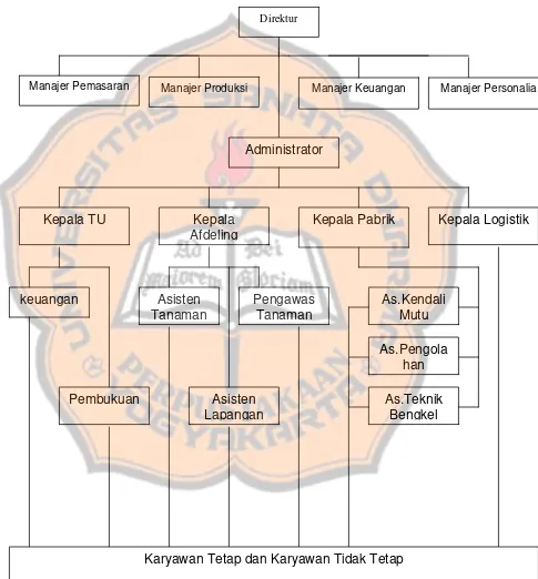 Gambar 4.1 struktur organisasi Perkebunan kelapa sawit PT. Waringin 