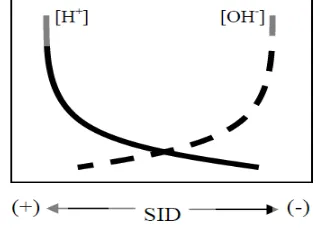 Gambar 2.4. Sketsa hubungan antara SID, H + & OH-  27