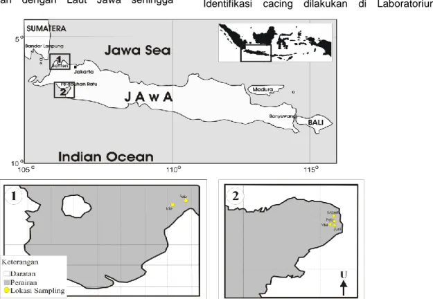 Gambar 1 Lokasi sampling. Note: 1) Teluk Banten dan 2) Pelabuhan Ratu.