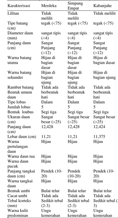 Tabel  5.  Karakter  Morfologis  Tanaman  Ubi  Jalar  Genotip  4  Asal  Kabupaten  Tanah  Karo  Kecamatan  Merdeka,  Simpang Empat dan Kabanjahe 