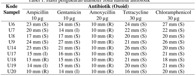 Tabel 1. Hasil pengukuran diameter zona hambat antibiotik  Kode  Sampel  Antibiotik (Oxoid) Ampicillin  10 µg  Gentamicin 10 µg  Amoxycillin 20 µg  Tetracycline 30 µg  Chloramphenicol 30 µg  U6  23 mm (S)  24 mm (S)  10 mm (R)  24 mm (S)  27 mm (S)  U7  20