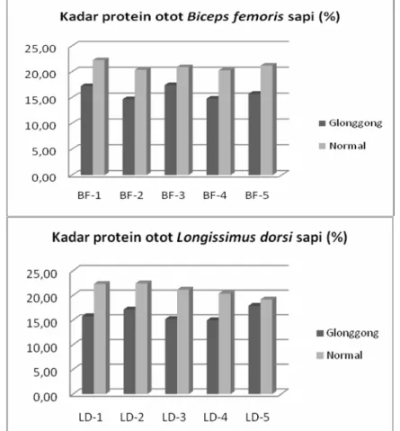 Gambar 2. Kadar protein otot BF and LD sapi glonggong dan normal (protein content of BF and LD muscle       from glonggong and normal bulls) 