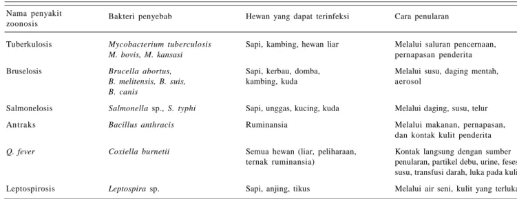 Tabel 1. Ternak yang terinfeksi  zoonosis yang disebabkan oleh bakteri.