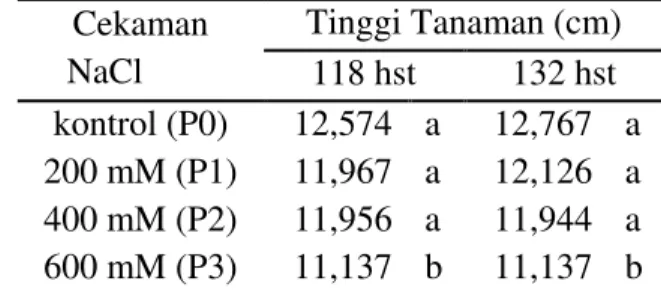 Tabel  1.  Tinggi  tanaman  bibit  cengkeh  umur  118  dan  132  hst  yang  dipengaruhi  perlakuan cekaman NaCl 