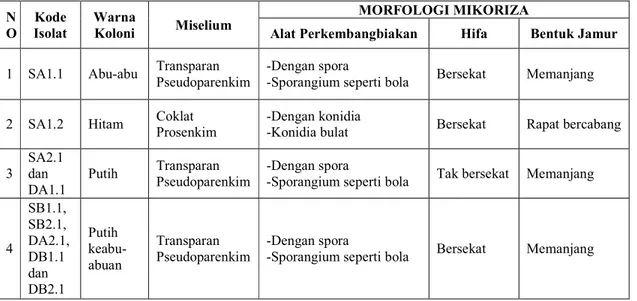 Tabel 2. Karakteristik Mikoriza Anggrek  N O  Kode  Isolat  Warna Koloni  Miselium  MORFOLOGI MIKORIZA 