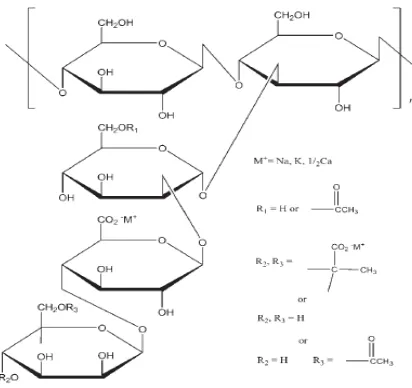 Gambar 2.3 Struktur kimia xanthan gum (Rowe, dkk., 2009). 