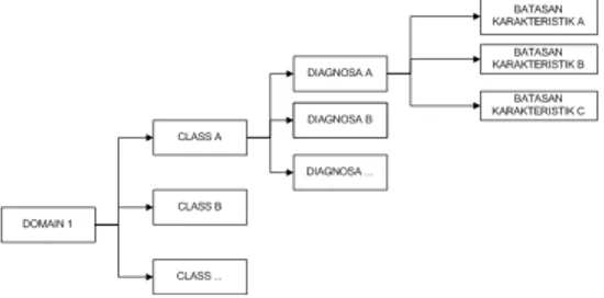 Gambar 3. Hubungan Domain,class, diagnosis dan batasan karakteristik 