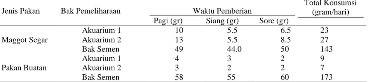 Tabel 3.  Rata-rata  Konsumsi Pakan (gram) Ikan Nila Dengan Pemberian Maggot Segar dan   Pakan Buatan                 (pellet)