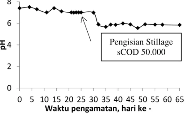 Gambar 6.  Nilai pH terhadap waktu pada tahap start up siklus kedua 