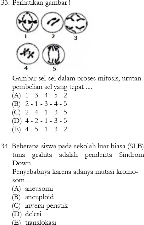 Gambar sel-sel dalam proses mitosis, urutan  pembelian sel yang tepat .... 