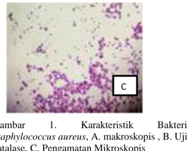 Gambar  2.  Uji  daya  hambat  cairan  pembersih  kontak  lensa  terhadap  Staphylococcus  aureus  dengan metode difusi cakram