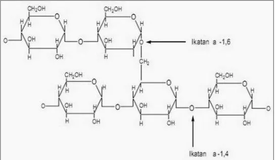 Gambar 1. Struktur Kimia Amilosa 