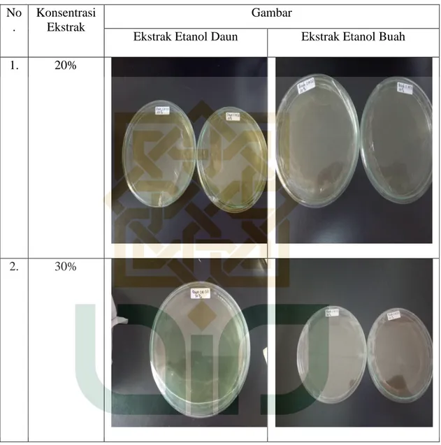 Tabel  5.  Foto  hasil  pengamatan  uji  KBM  ekstrak  etanol  daun  dan  buah  belimbing  wuluh terhadap S