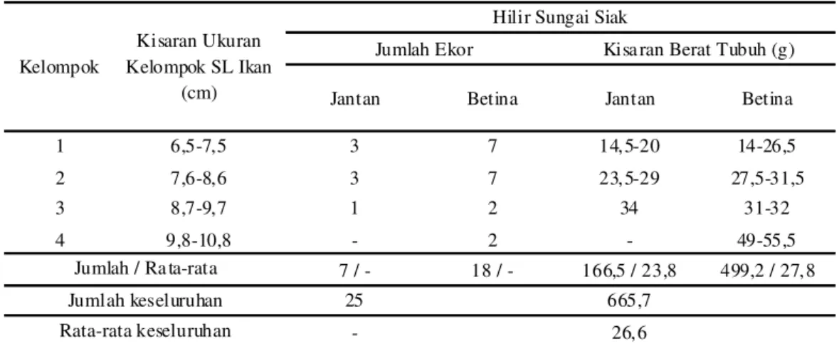 Tabel 2.  Kisaran  ukuran  otolith  (berat,  panjang  dan  lebar)  ikan  katung  berdasarkan  kisaran  ukuran  kelompok  panjang baku ikan katung jantan dan betina di hilir Sungai Siak Provinsi Riau