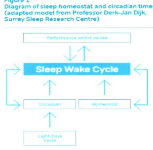 Figure 1 Diagram of sleep homeostat and circadian timer 