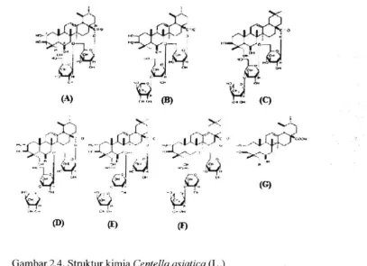 Gambar 2.4. Struktur kimia CenteUa asiatica (L.) 