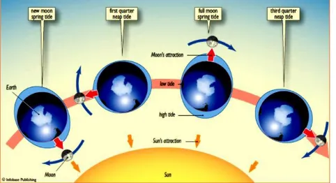 Gambar 1: Posisi Matahari, Bulan, dan Bumi pengaruhnya terhadap kenaikan air laut.  Sumber: Trevor, 2008 
