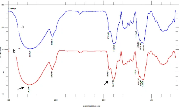 Gambar  7.  Spektrum  inframerah  biosorpsi  ion  Cu(II)  oleh  kulit  buah  kopi                (a)  sebelum  kontak  dengan  Cu(II)  dan  (b)  setelah  kontak  dengan 
