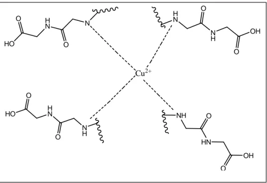 Gambar 8. Interaksi antara Cu(II) dengan protein  KESIMPULAN 