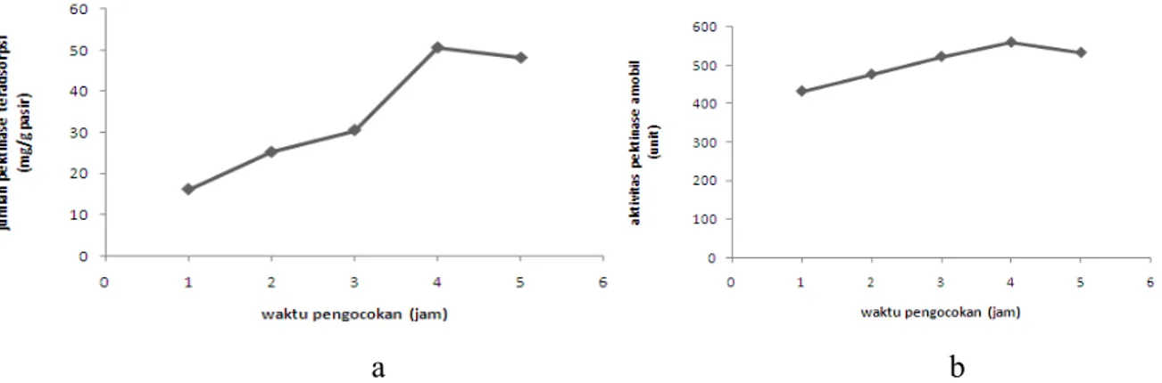 Gambar  1.  (a)  Kurva  hubungan  antara  waktu  pengocokan  terhadap  jumlah  pektinase  teradsorpsi (b) Kurva hubungan antara waktu pengocokan terhadap aktivitas pektinase amobil 
