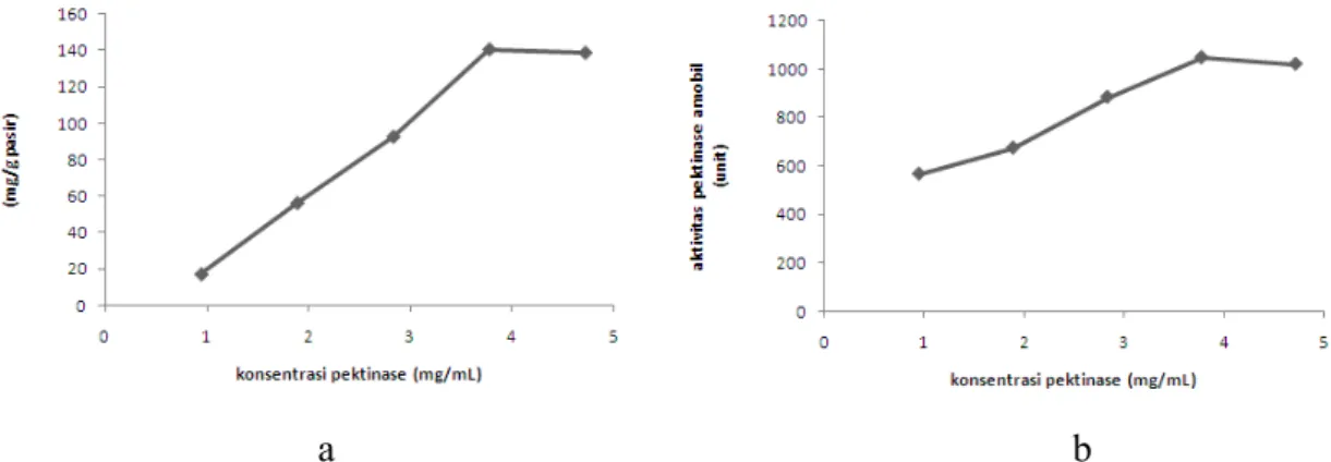 Gambar  2.  (a)  Kurva  hubungan  antara  konsentrasi  pektinase  terhadap  jumlah  pektinase  teradsorpsi  (b)  Kurva  hubungan  antara  konsentrasi  pektinase  terhadap  aktivitas  pektinase  amobil 