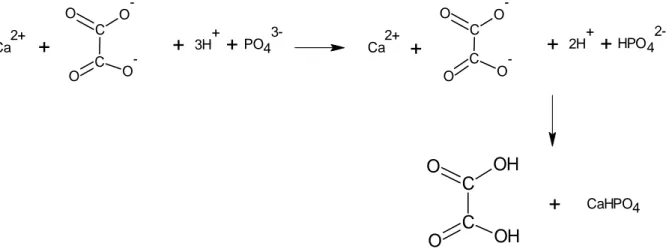 Gambar 2. Reaksi pembentukan asam oksalat  