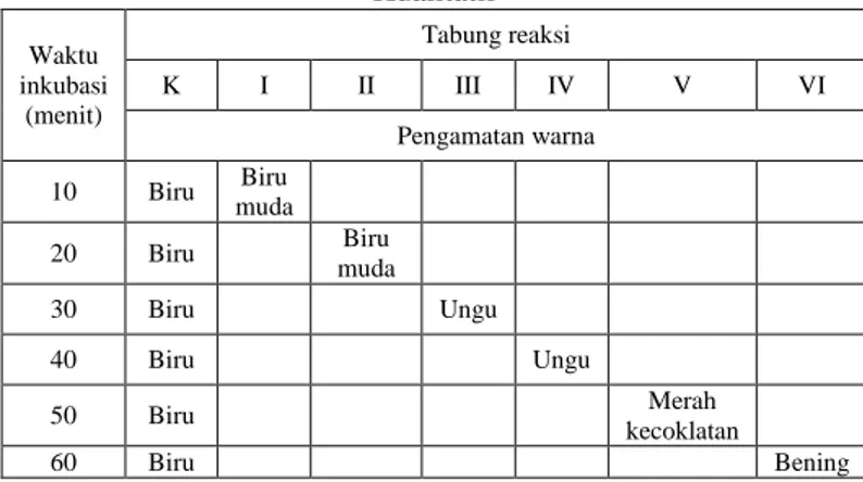 Tabel 1. Data Hasil Pengamatan Uji Aktivitas Enzim Secara  Kualitatif  Waktu  inkubasi  (menit)  Tabung reaksi K I II III  IV  V  VI  Pengamatan warna  10  Biru  Biru  muda  20  Biru  Biru  muda  30  Biru  Ungu  40  Biru  Ungu  50  Biru  Merah  kecoklatan 