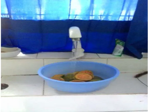 Gambar 1. Kulit Jeruk Manis 