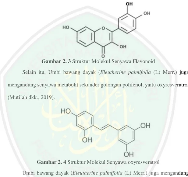 Gambar 2. 3 Struktur Molekul Senyawa Flavonoid