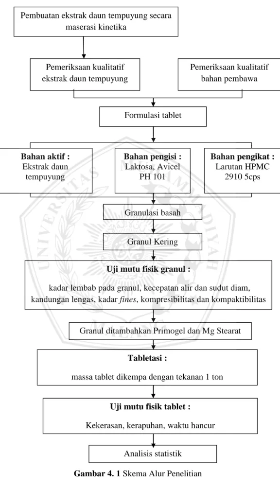 Gambar 4. 1 Skema Alur Penelitian Pemeriksaan kualitatif 