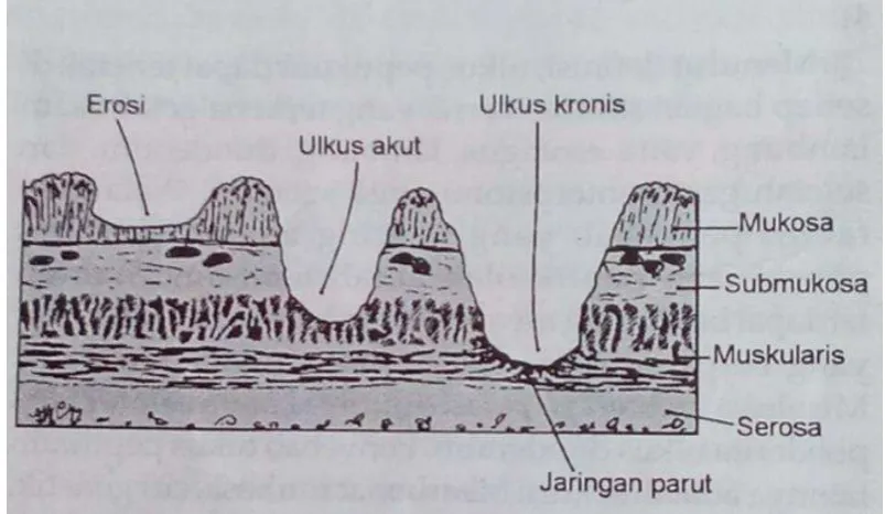 gambar dibawah ini 