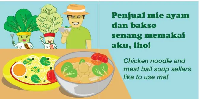 Figure 5:  Kartini the carrot dancer is shown wearing the  