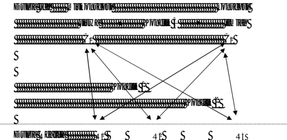 Gambar 01. Model Penyajian Konflik Kognitif (dimodifikasi dari Ricardo Trumper,  dalam Sadia, 1998: 16) 