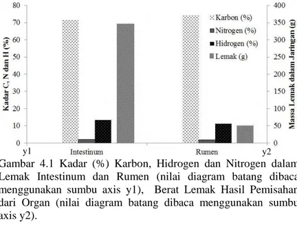 Gambar  4.1  Kadar  (%)  Karbon,  Hidrogen  dan  Nitrogen  dalam  Lemak  Intestinum  dan  Rumen  (nilai  diagram  batang  dibaca  menggunakan  sumbu  axis  y1),    Berat  Lemak  Hasil  Pemisahan  dari  Organ  (nilai  diagram  batang  dibaca  menggunakan  s