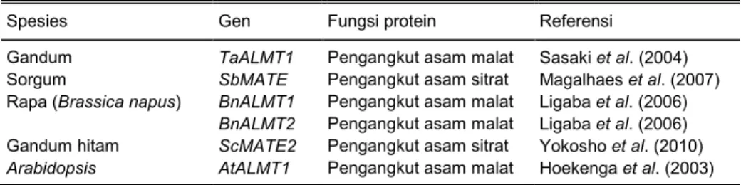 Tabel 2.   Gen-gen pengangkut asam organik (organic acid transporter) dari famili gen ALMT dan  MATE  yang  ekspresinya  diinduksi  oleh  ion  Al 3+   yang  telah  diidentifikasi  dan  gennya  telah diklon dari beberapa spesies tanaman