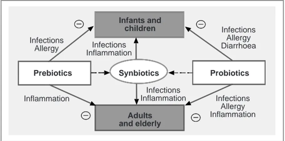 Gambar 2. Pengaruh Serat, probiotik dan prebiotik pada berbagai tahapan kehidupan